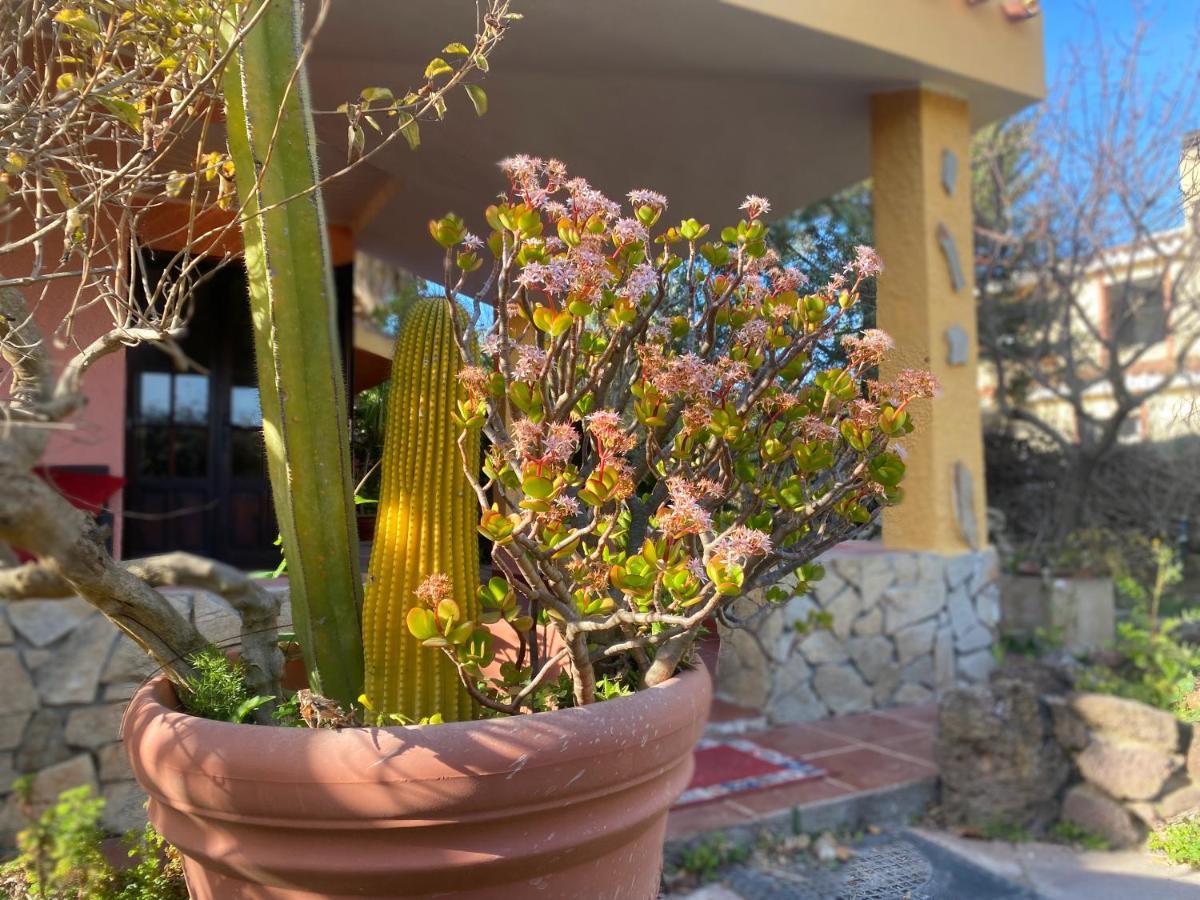Lovely Home 5 Min Walk To The Beach, 3 Bedrooms Ample Outdoor Relax And Wifi Capitana Exteriör bild