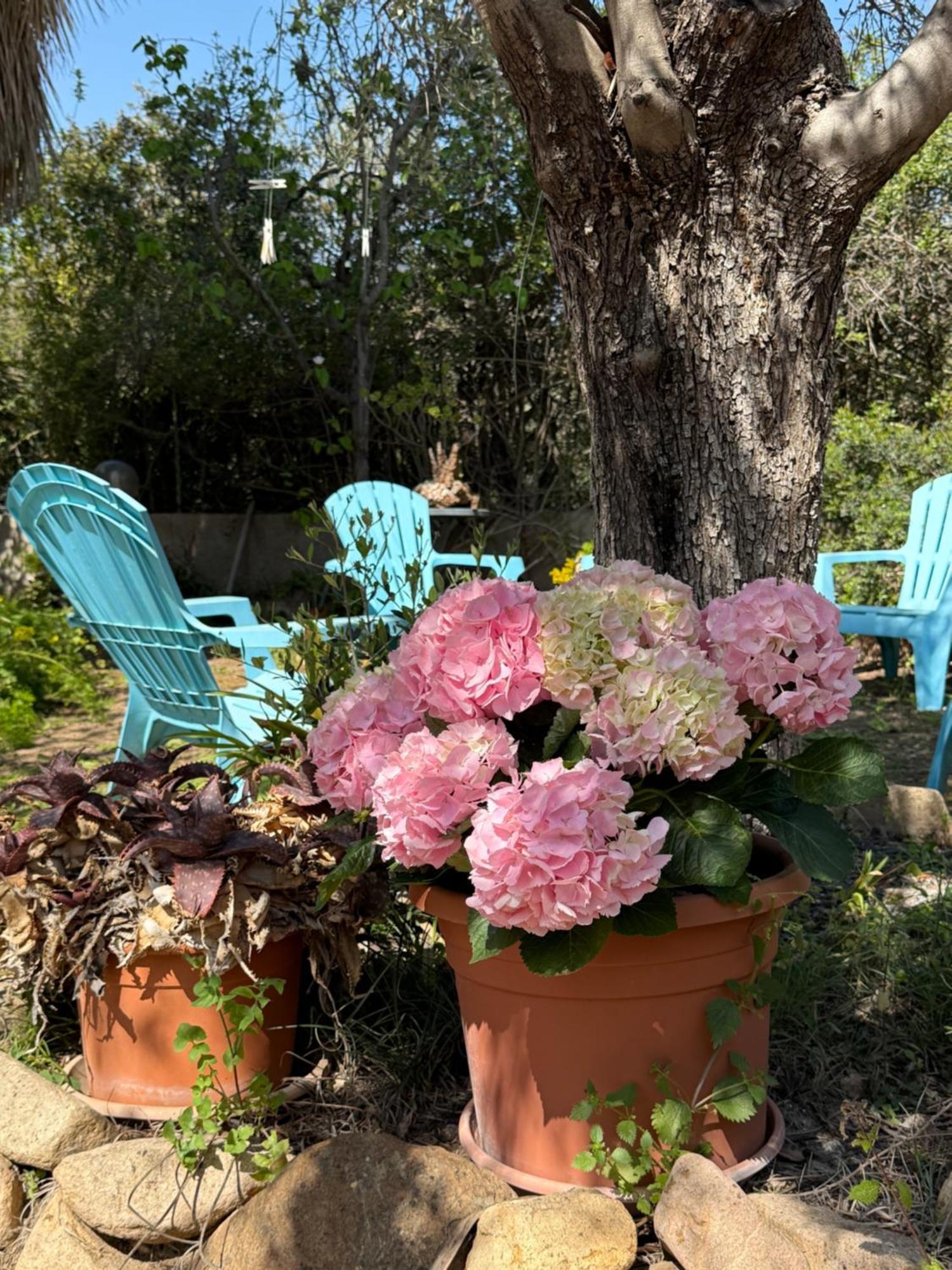 Lovely Home 5 Min Walk To The Beach, 3 Bedrooms Ample Outdoor Relax And Wifi Capitana Exteriör bild